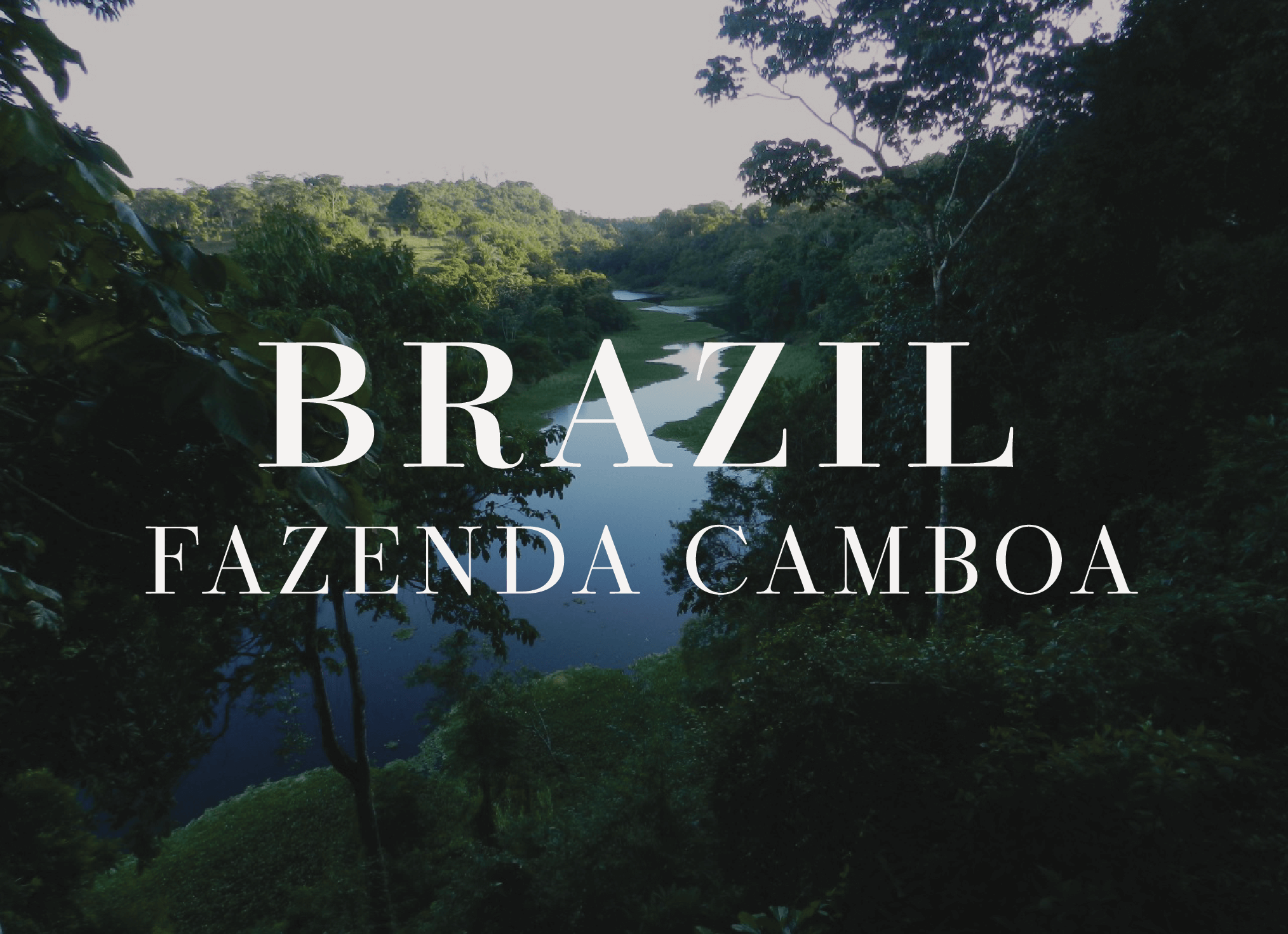 Fazenda CAmboa Brazil button