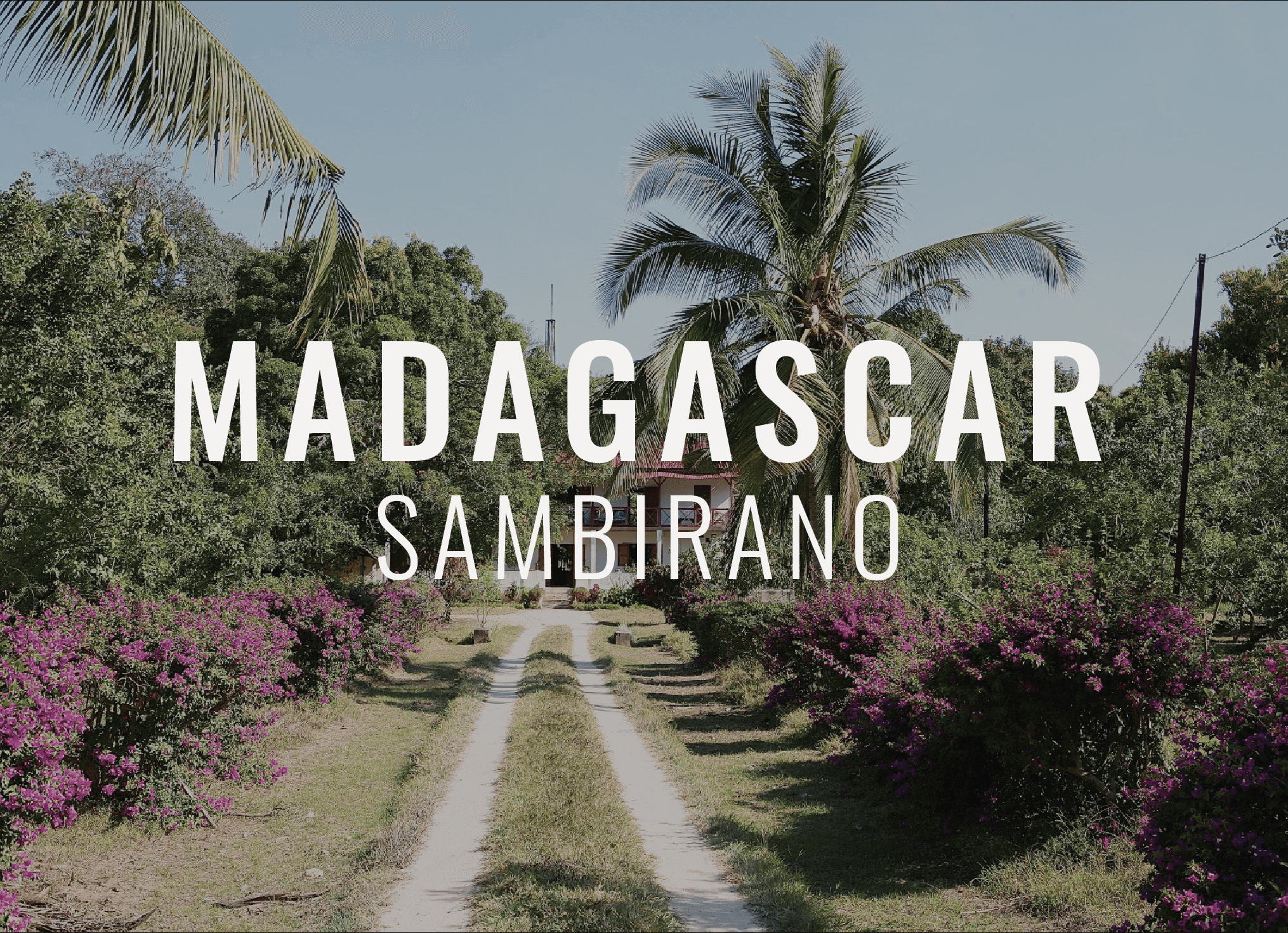 Sambirano Madagascar button