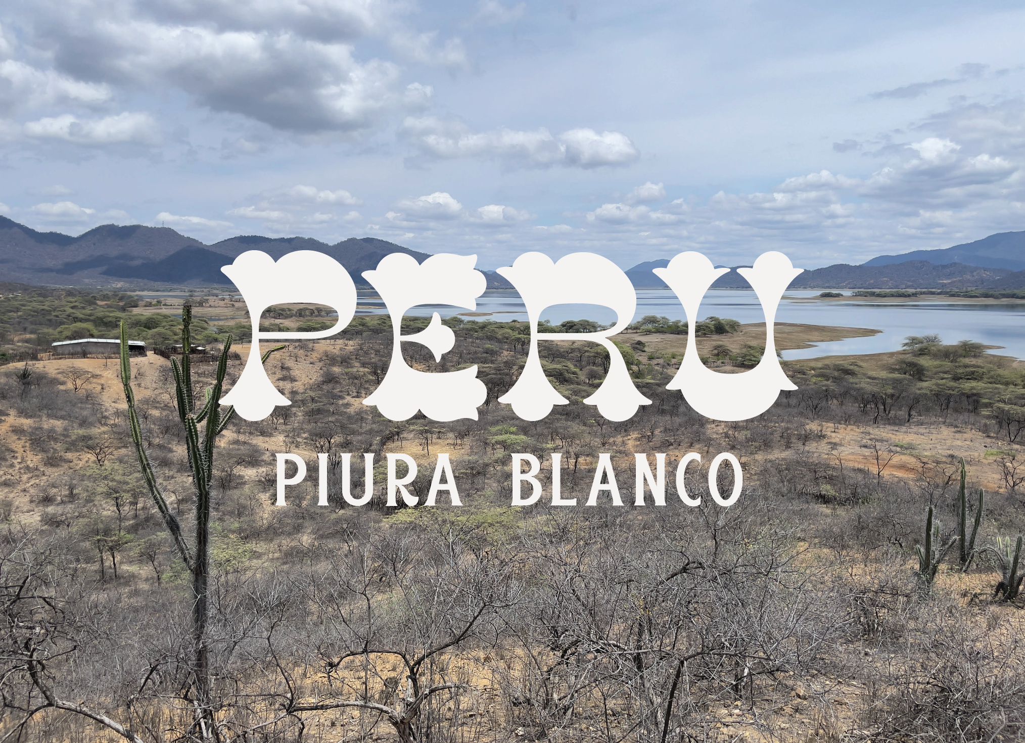 Piura Blanco Peru button