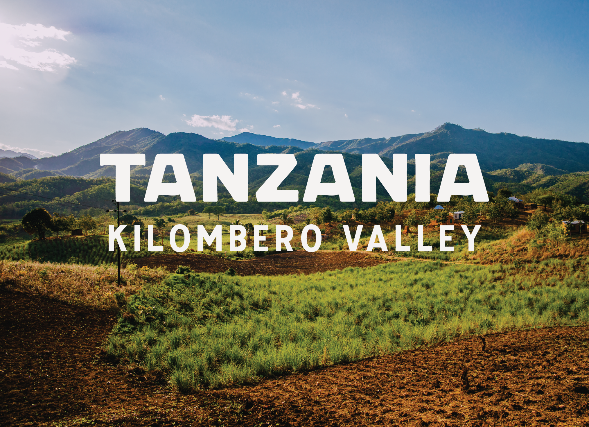 Kilombero VAllery Tanzania button