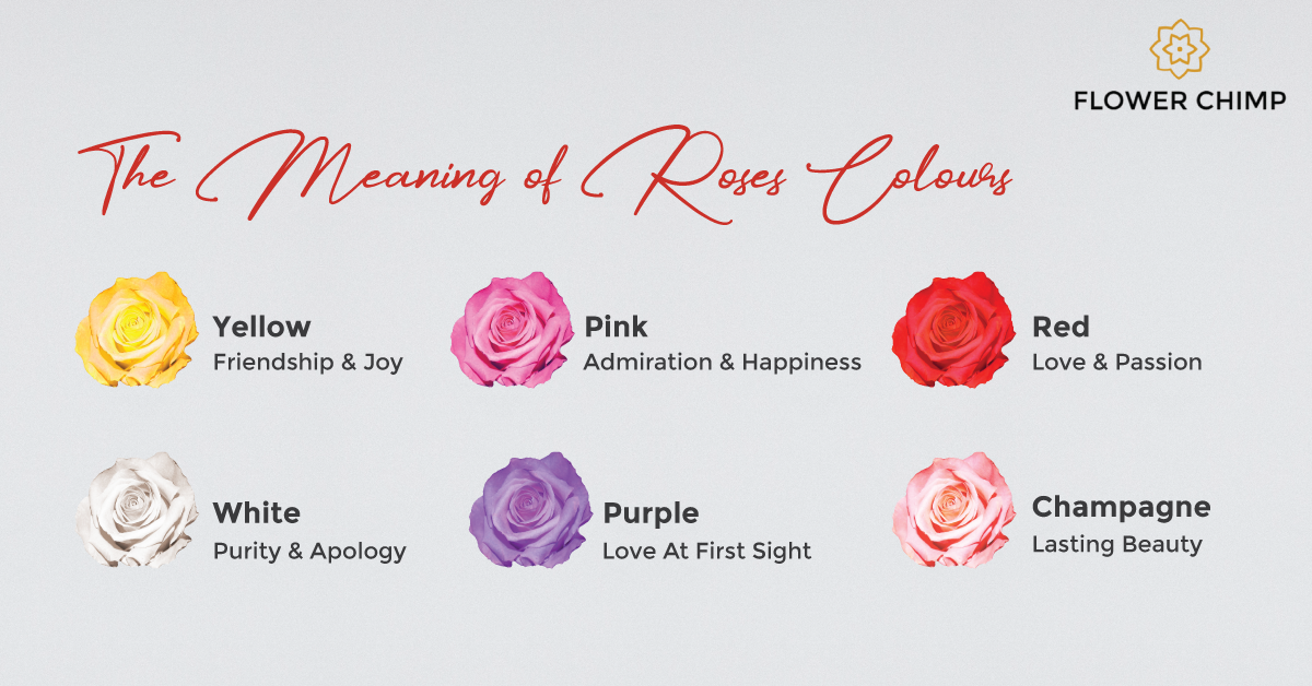 5 Fakta Unik Tentang Bunga Mawar Yang Perlu Kamu Ketahui