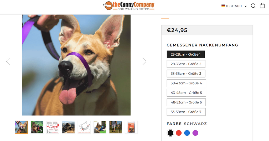 Visual Commerce bei CannyCollars: User können eigene Hundeleinen erstellen, das Bild zeigt einen Hund mit einer lila Leine.