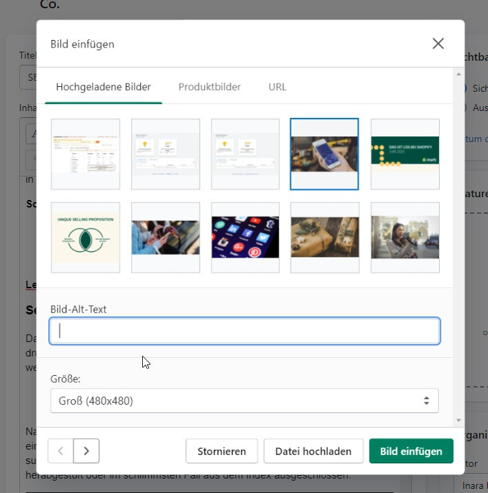 ALTTag einfügen Shopify ist hilfreich für SEO für Onlineshops.