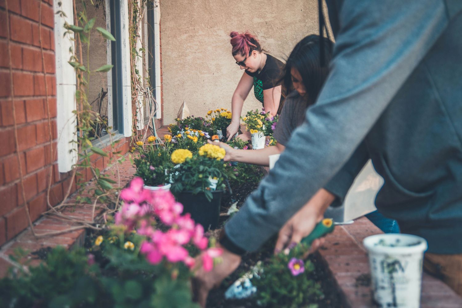 Zu sehen sind mehrere Frauen, die an einem Blumenbeet arbeiten.