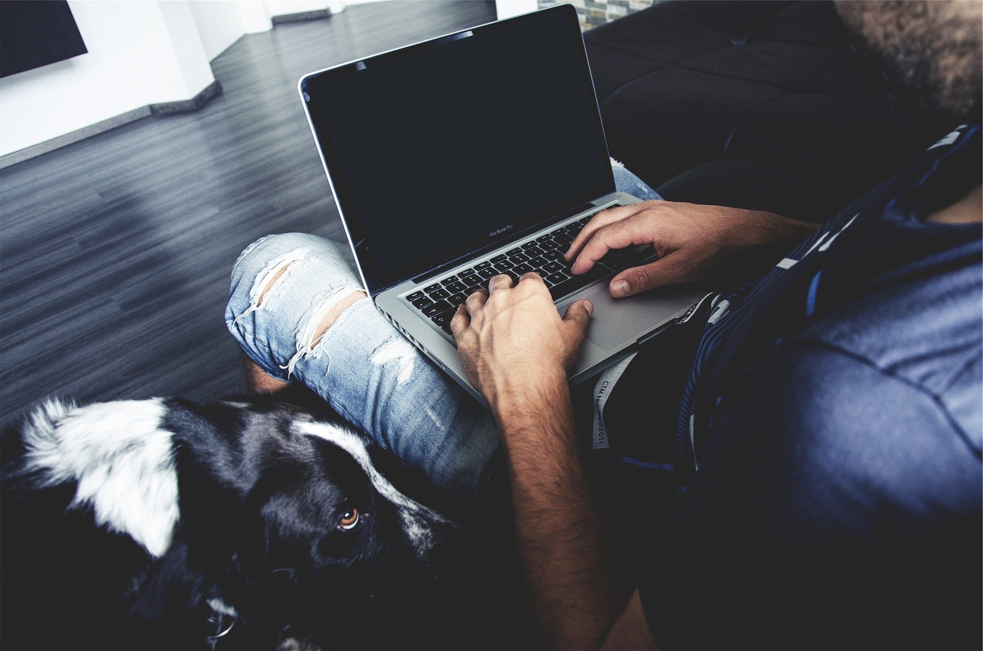 Blick über die Schulter eines Mannes. Auf seinem Schoß steht ein aufgeklappter Laptop, auf dem er etwas tippt. Ein Hund liegt rechts neben ihm auf dem Sofa. Um erfolgreich Haustierprodukte zu verkaufen, brauchst du einen leistungsfähigen Onlineshop.