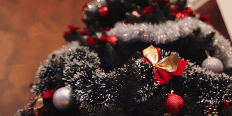 In einem bewegten Bild schwenkt die Kamera über einen geschmückten Baum als Beispiel für GIFs in Newslettern zu Weihnachten