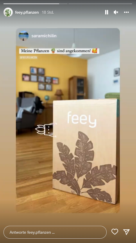 Feey postet nutzergenerierte Inhalte, um die Aufmerksamkeit des Instagram-Algorithmus zu stärken.