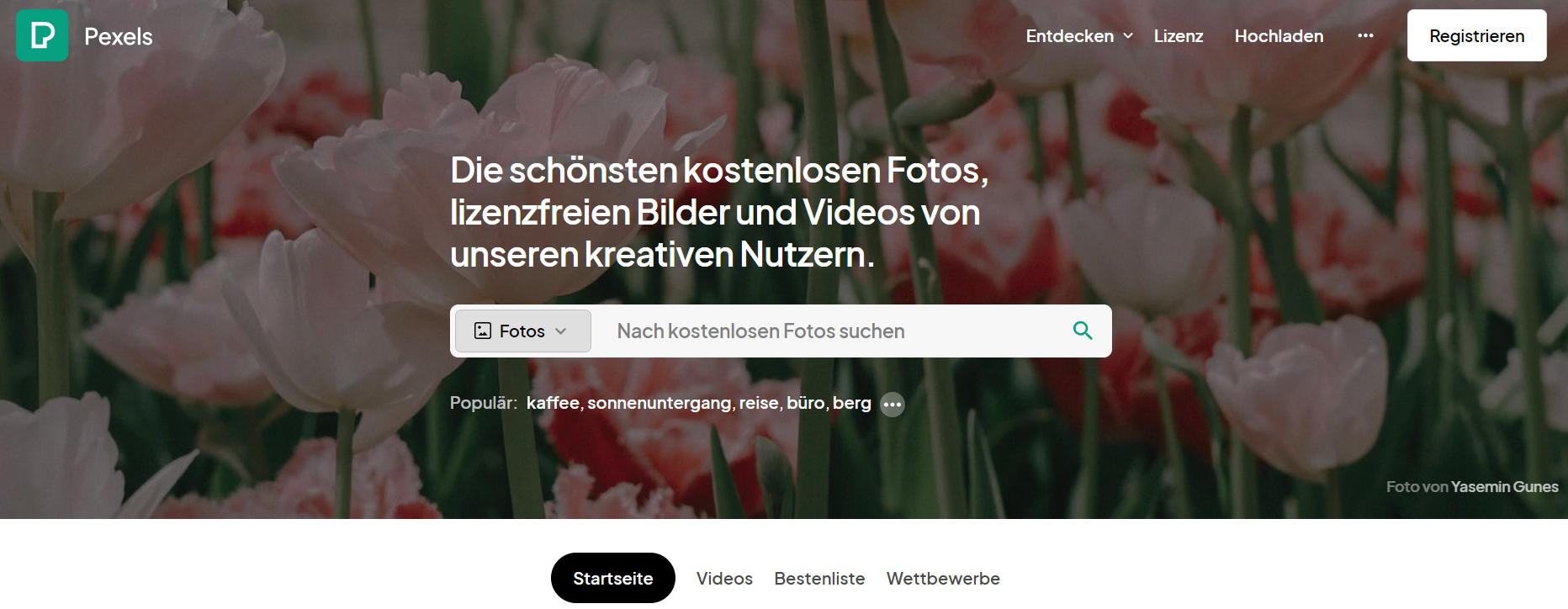 Bei Pexels findest du kostenlose Bilder.