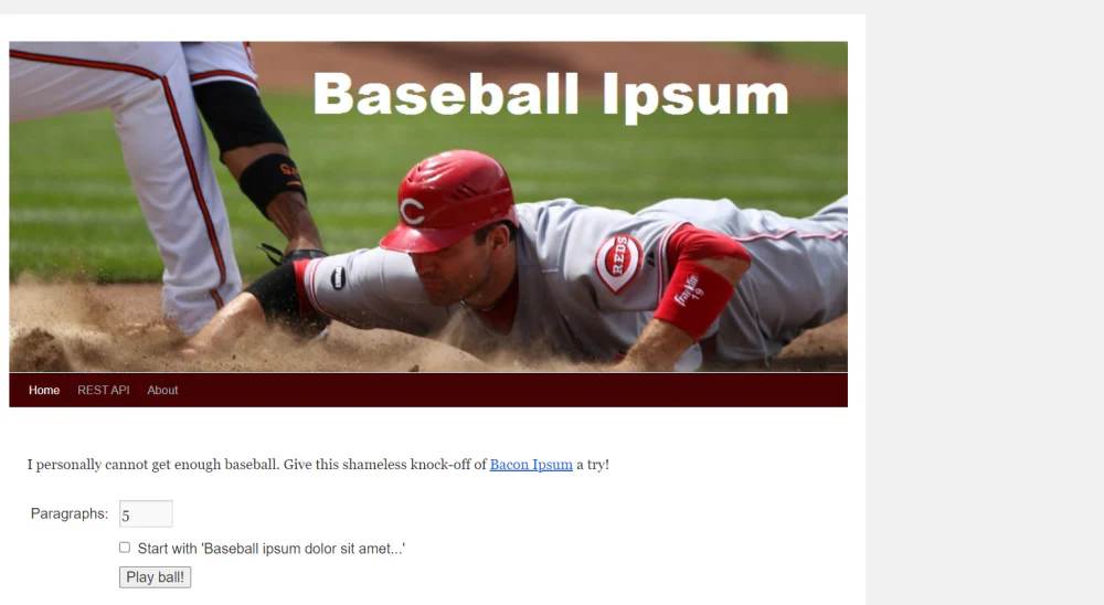 Lorem Ipsum Generator Beispiel: Baseball