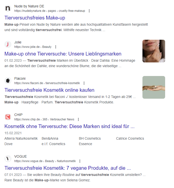 Ergebnisse der Google-Suche nach "tierversuchsfreies Makeup" als Nischenmarkt Inspiration