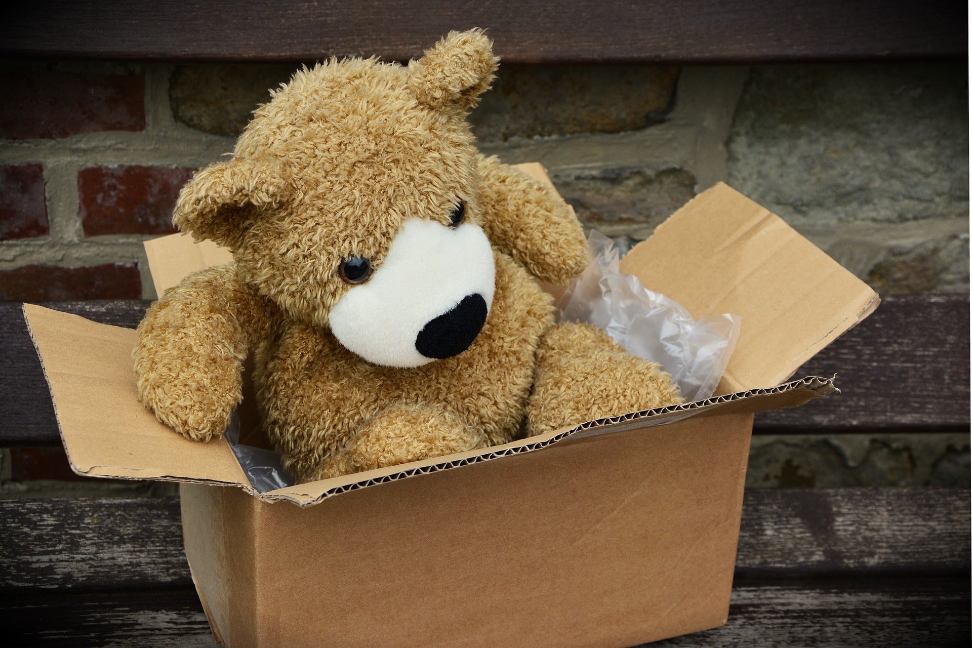 Blick auf ein geöffnetes Paket aus dem ein Plüschteddy herausguckt. Mit unseren Tipps zum optimalen Onlineshop-Versand steht deinem Erfolg nichts mehr im Weg!