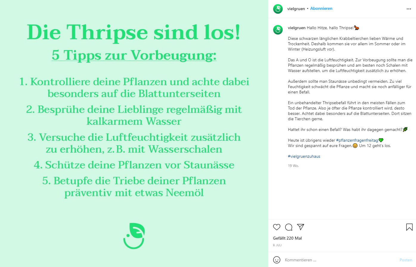 Screenshot eines Instagram-Posts, der die Pflanzenpflege beschreibt, vom Unternehmen vielgrün, das Pflanzen verkauft