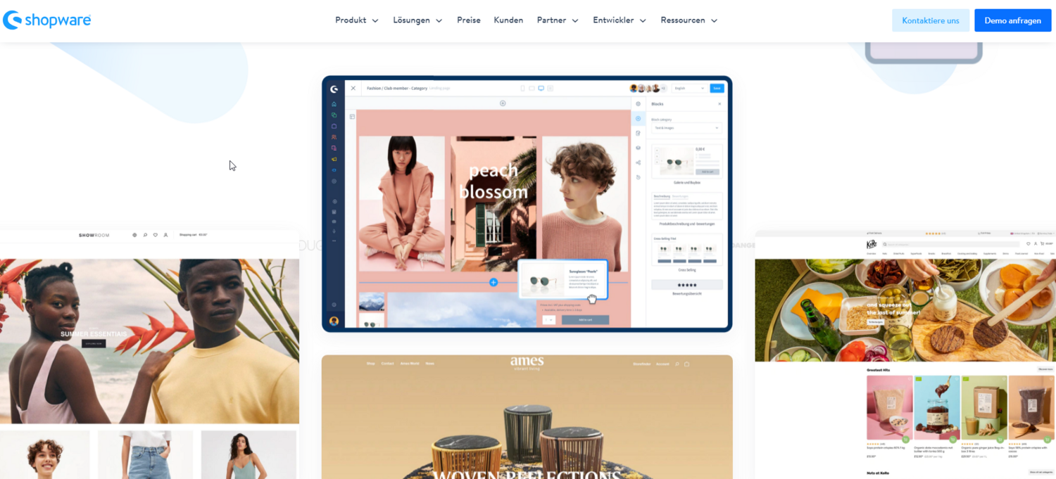 Screenshot der Shopware Website mit Beispielen zu Shop-Umsetzungen