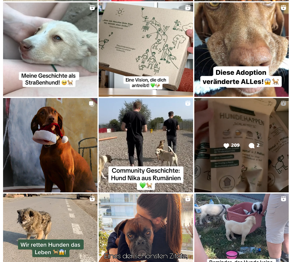 Das Instagram-Profil des Shopify-Händlers Hunderunde.