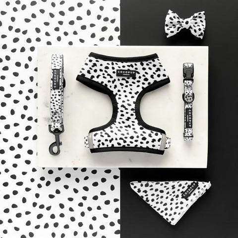 Cocopup Monochrome Spots Bundle 