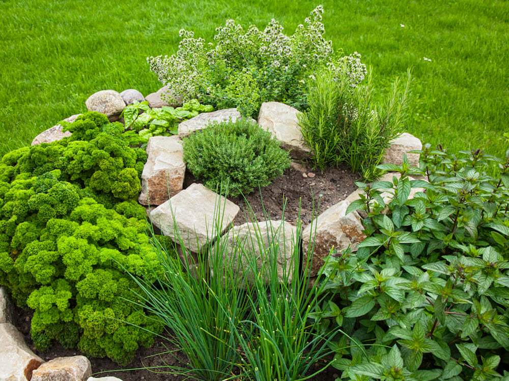 Herb Spiral Gardening Adding A Twist To Your Growing Space Garden