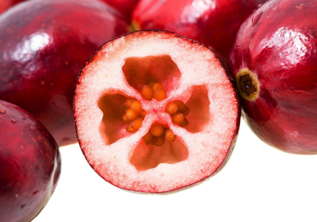 Mga resulta ng larawan para sa Cranberry sliced"