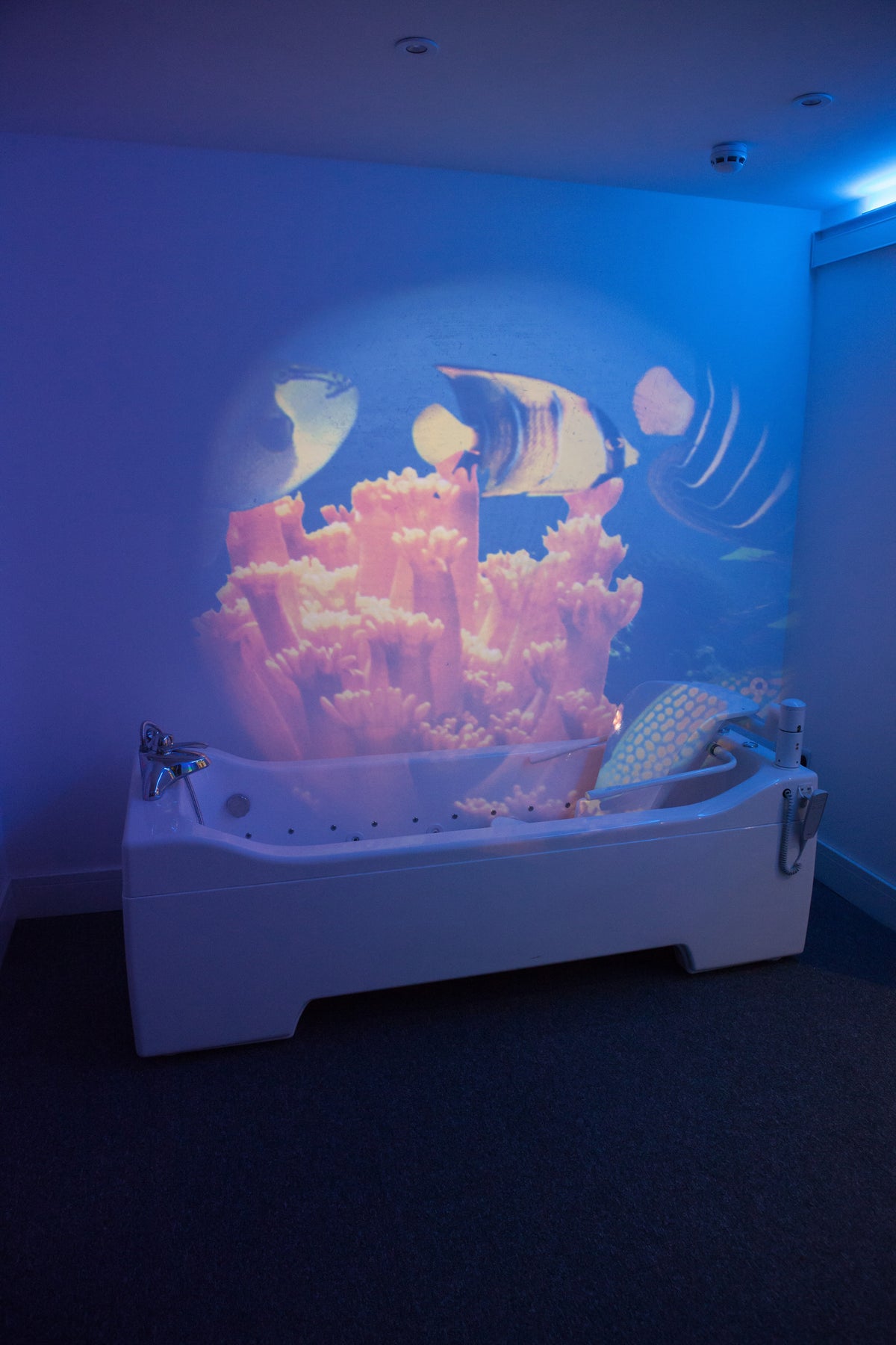 Calming Sensory Bathroom – SensoryKraft