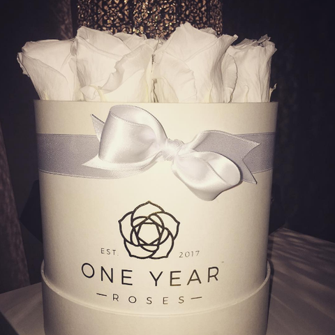1 Year Roses White Roses