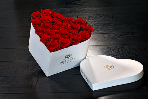 heart box roses uk next day delivery