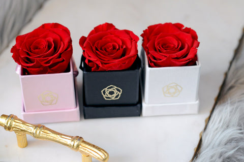 Mini Square Long Lasting Rose Box - Lifetime is Over 1 Year
