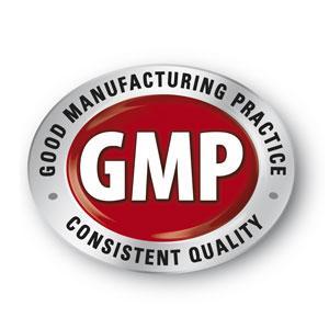 gmp logo