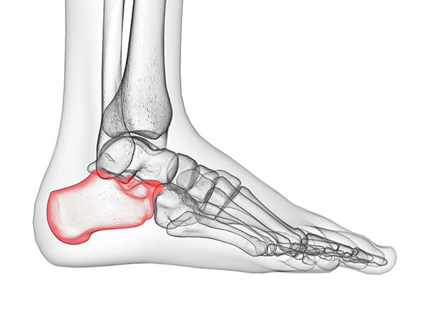 foot diagram