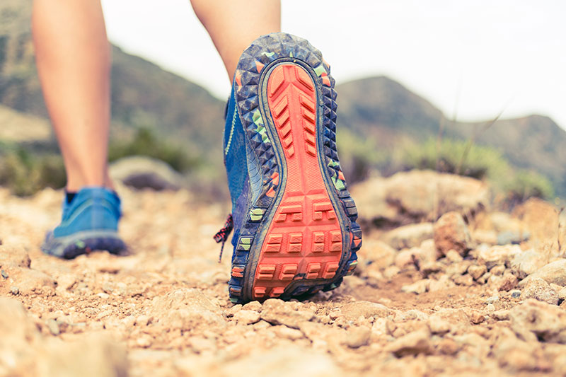 shoe on a trail