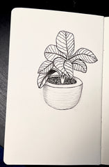 potted Plant pen & ink
