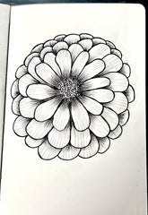single pen & ink flower