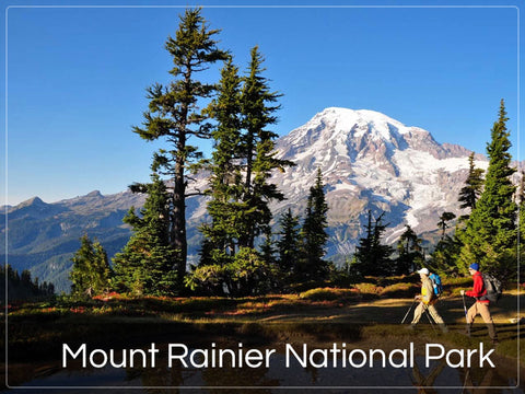 Mount Rainier National Park