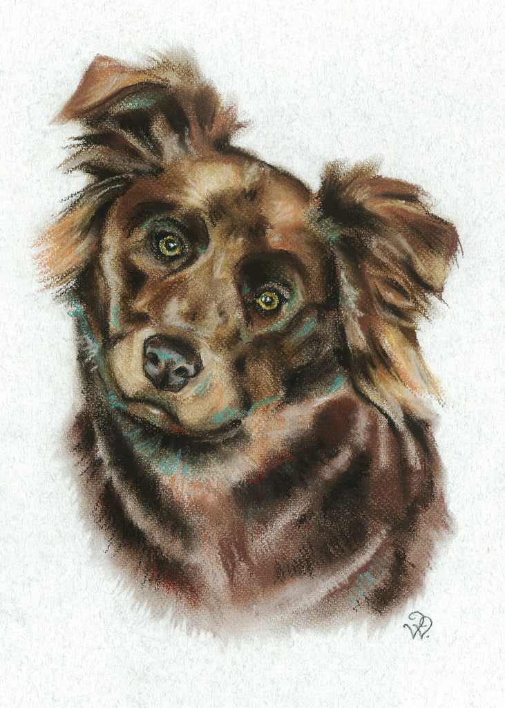 Pastel Pet Portrait – 