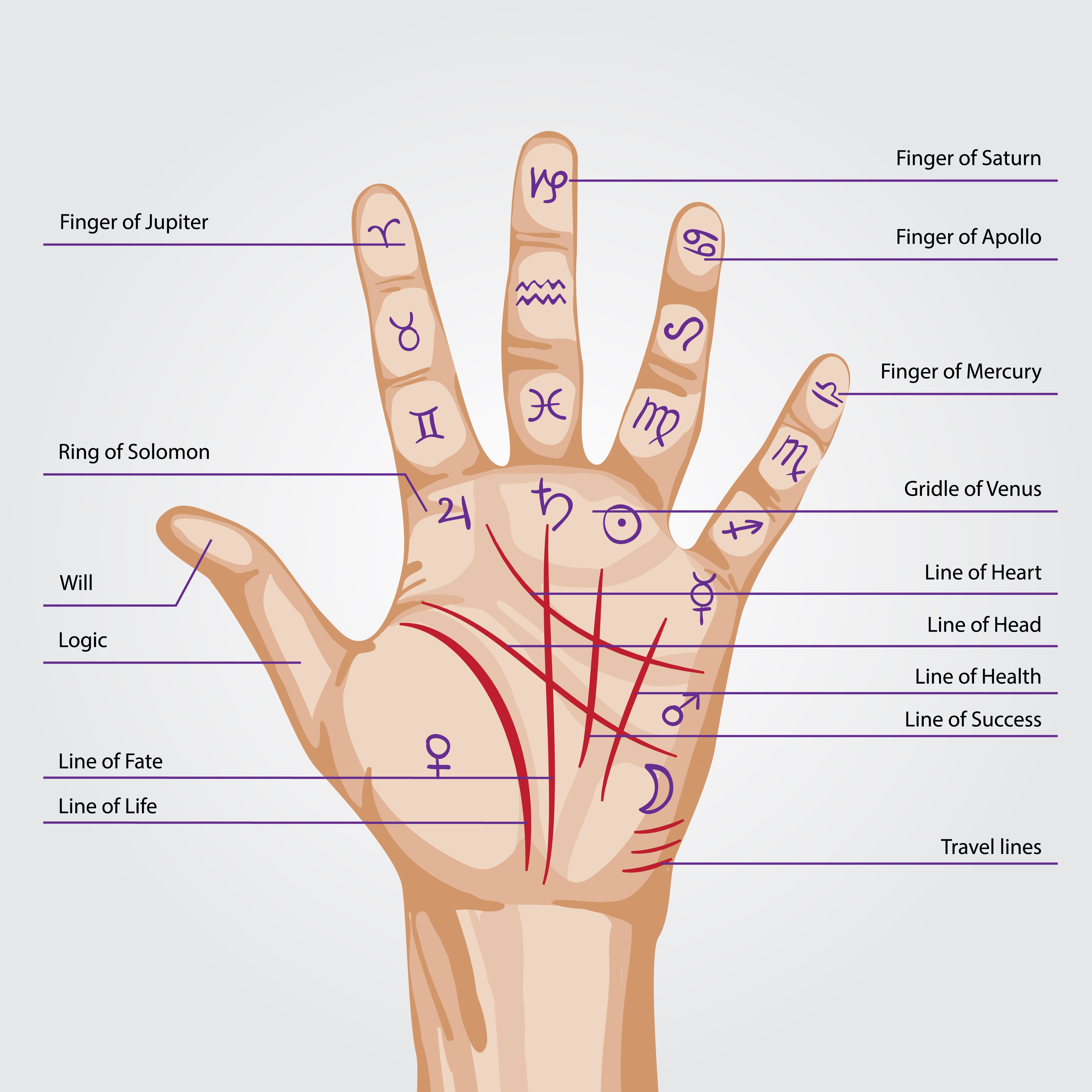 Your Destiny is in your Hands: Accredited Palmistry & Fingerprint Masterclass course your mental plane of expression