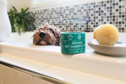 natural pet shampoo bar - dog in bath