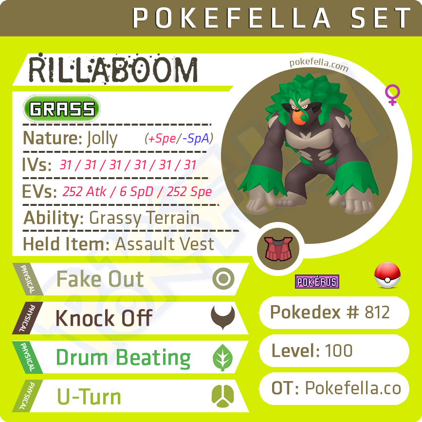 The Maximizers Rillaboom Obstagoon Toxtricity Competitive 6ivs Pokefella Pokemon Genning Editing Trading Services