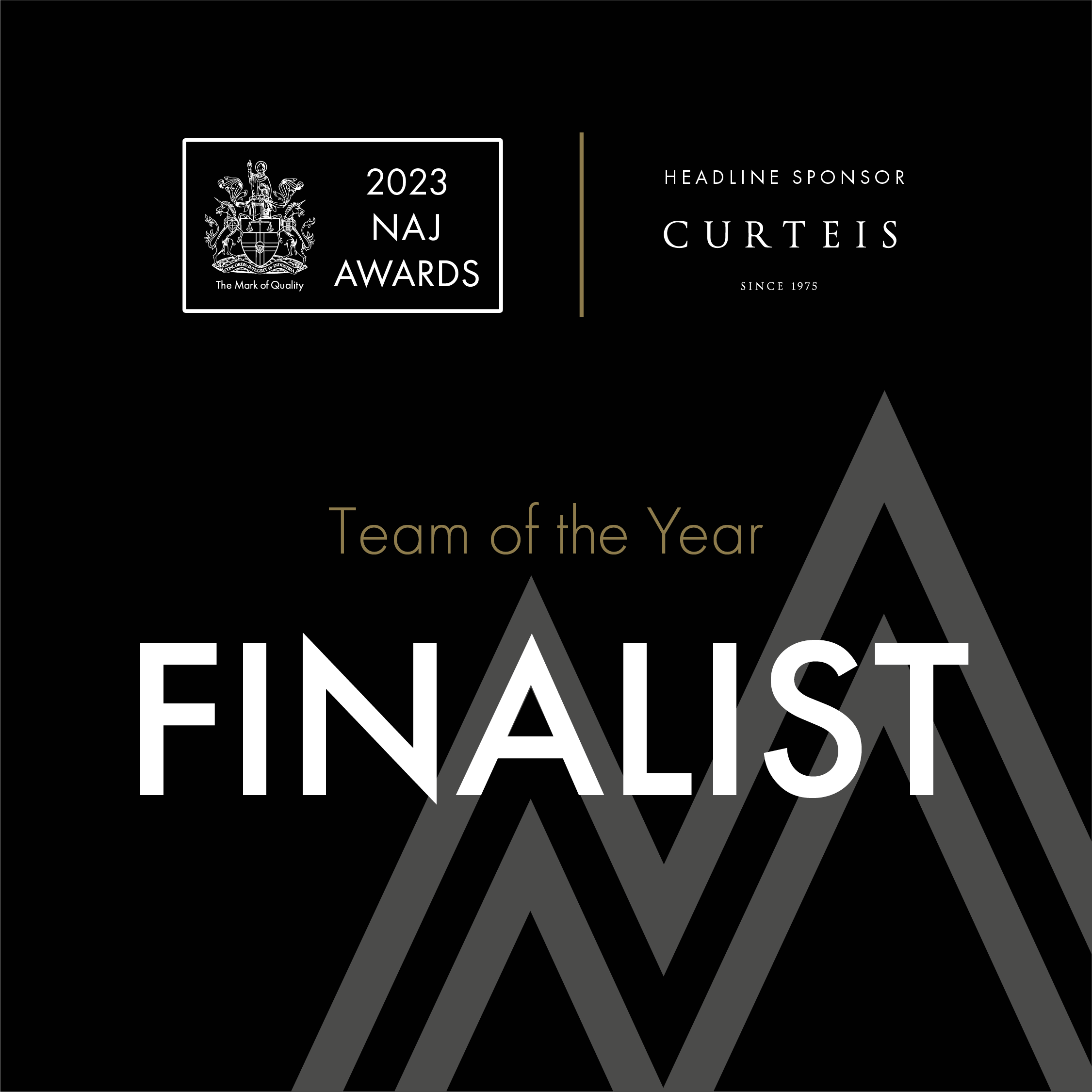 National association of jewellers shortlist for team of the year award Lily Arkwright