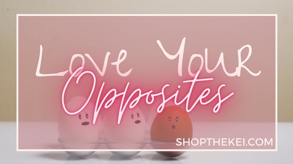 Love your Opposite, ShoptheKei.com momlife aventuras