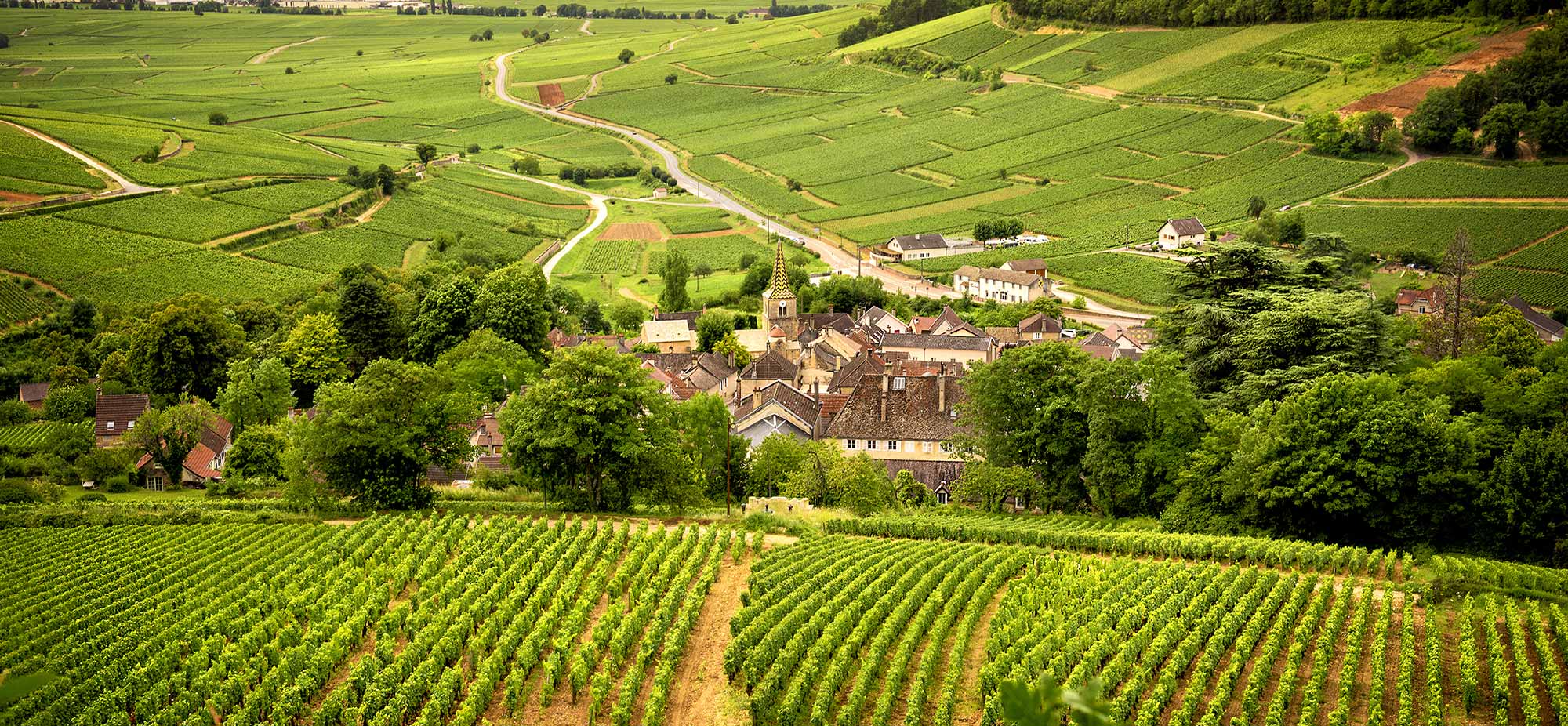 10 of the Best Wine Regions in the World – Grand Cru Wine Fridges