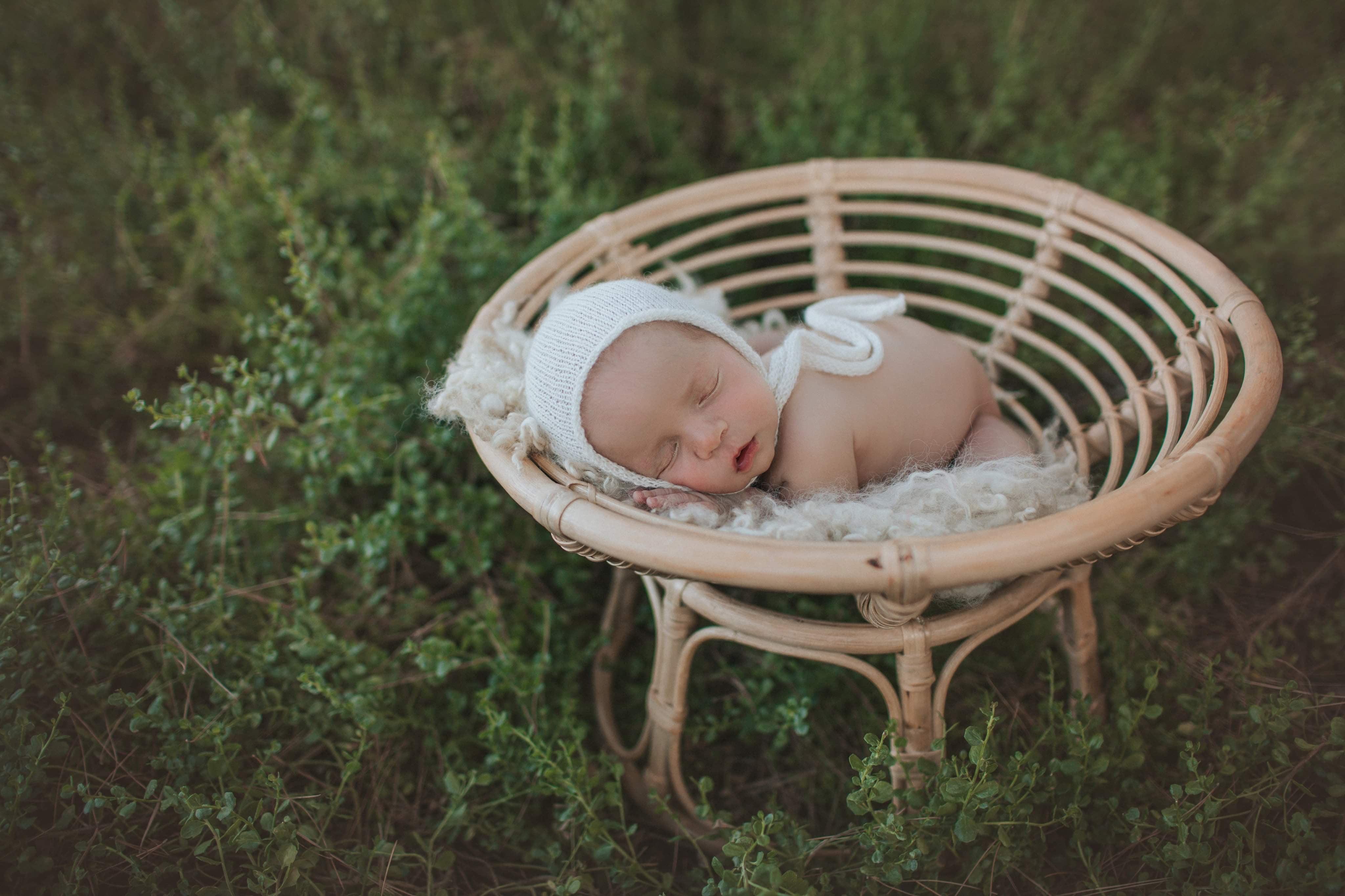 papasan chair newborn photography