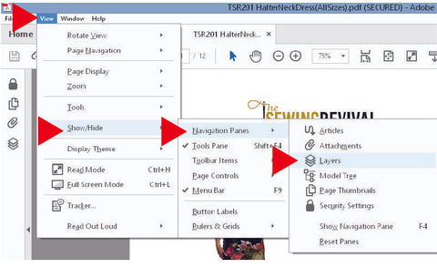 How to use Adobe Layers Feature