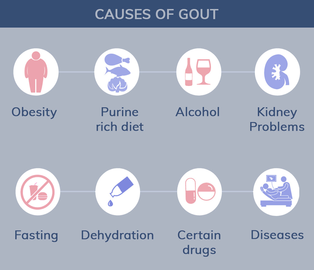 infographic on the causes of gout in the elderly 