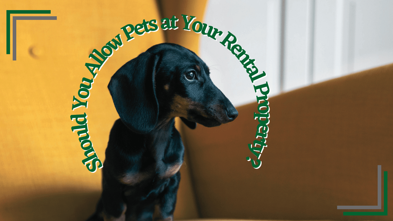 Should You Allow Pets at Your San Diego Rental Property? - Article Banner