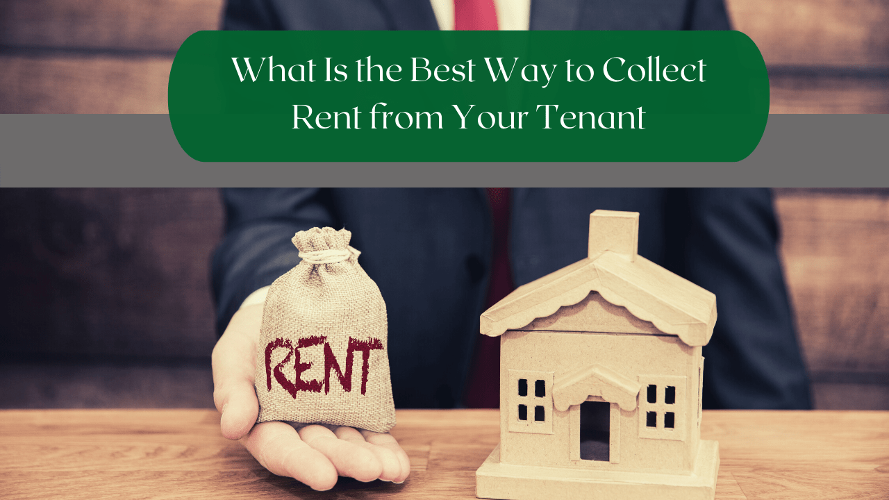 What Is the Best Way to Collect Rent from Your San Diego Tenant - Article Banner