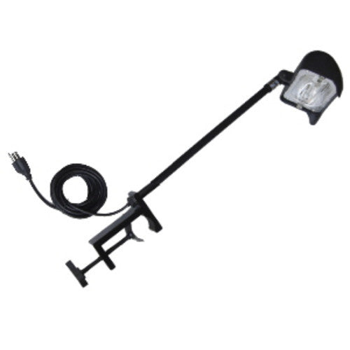 halogen clamp light