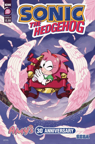 JUN229277 - SONIC THE HEDGEHOG TAILS 30TH ANNV CVR A HAMMERSTROM