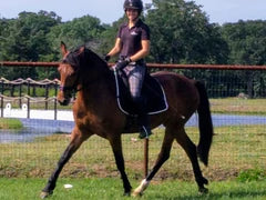 Caitlyn Rockett riding brown horse
