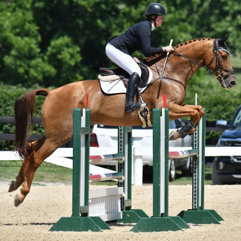 Horse rider jumping over green fence obstacle. 