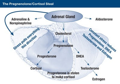 Pregnenalone Steal - Switch Nutrition