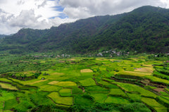 GUANGDONG FERTILE LAND