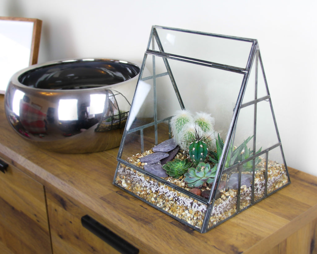 Terrarium kit with real plants
